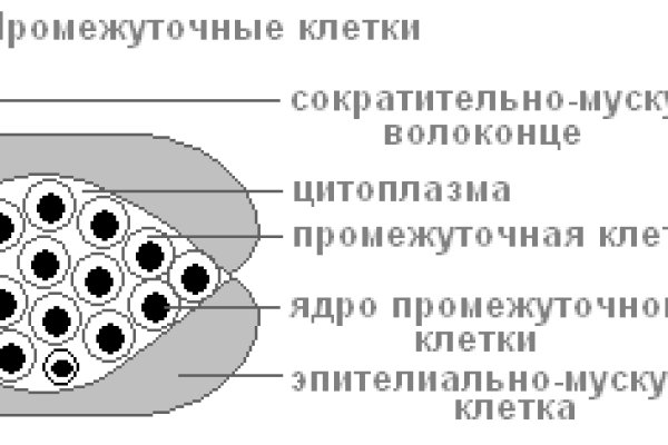 Кракен kr2web in что это