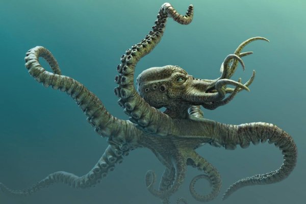 Kraken18at