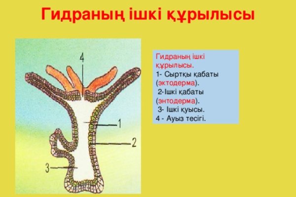 Как восстановить аккаунт на кракене даркнет