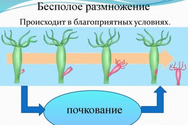 Кракен макет плейс